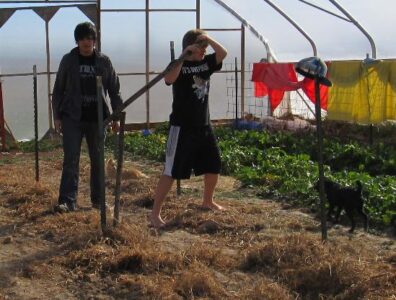 Emerging Brawn Image